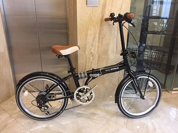 Xe đạp gấp Mypallas M206 Noel